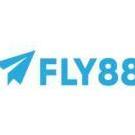 fly88gives2