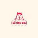 kqxsvip