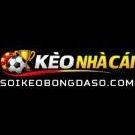soikeobongdasocom