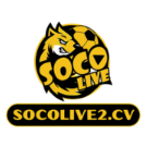 socolive2cv3