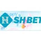 shbet800com6