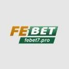 febet7pro1