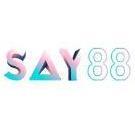 say88cam1