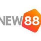 vnew88net2