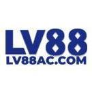 lv88accom1