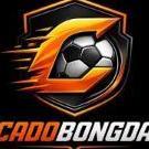 cadobongdaafrica