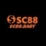 sc88baby