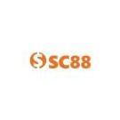 c88seocom1
