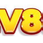 lv8887914