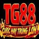 tg88luxury