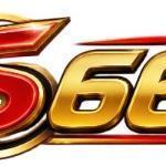 s66673983