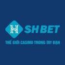 shbetinfo2